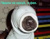 Аватара