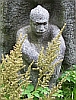 Аватара