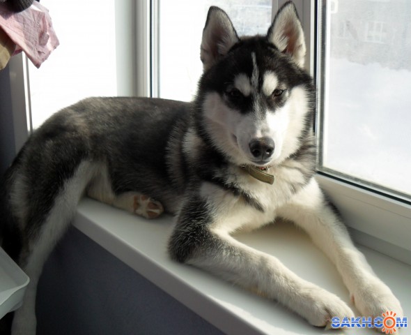 Натик2008: SAM_0195