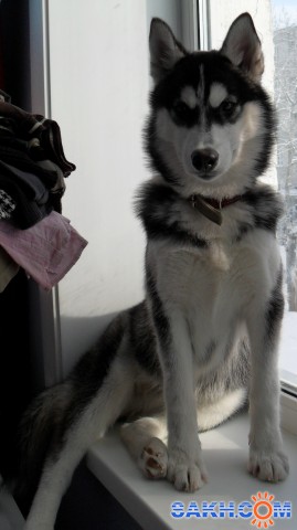 Натик2008: SAM_0193