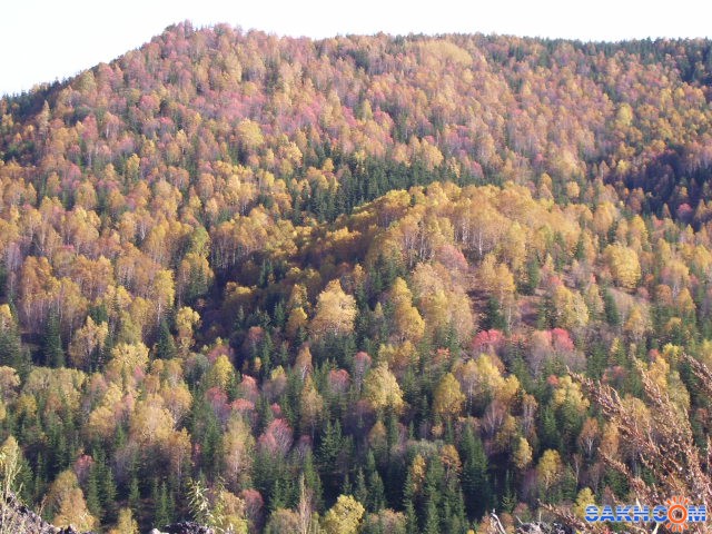 Киноварь: Осенний вальс