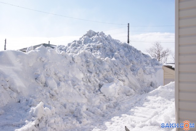 Клио.55: DSC00236