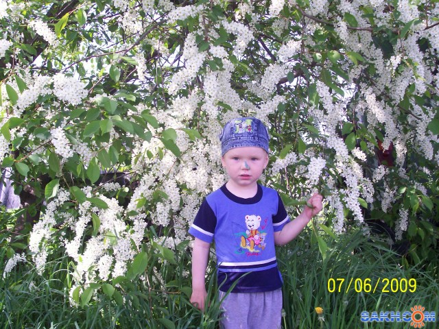 GoryachkinIgor: 100_0435