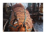 много много рыбы

Просмотров: 295
Комментариев: 2