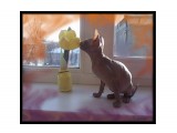 Эссегер

Просмотров: 88
Комментариев: 0