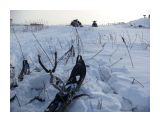 Атласово 2009 015