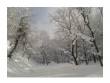 Разное 
Skiing 

Просмотров: 530 
Комментариев: 0