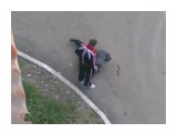 Разборка 4
Разборка 4

Просмотров: 101
Комментариев: 
