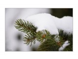 2012-01-01 Первый день года 
2012.01.01 15-13-27 

Просмотров: 237 
Комментариев: 2