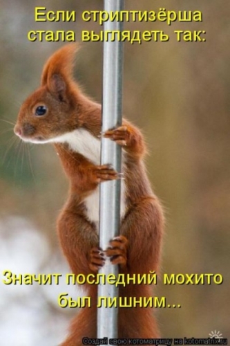 Фотография belka_2006 Татьяна